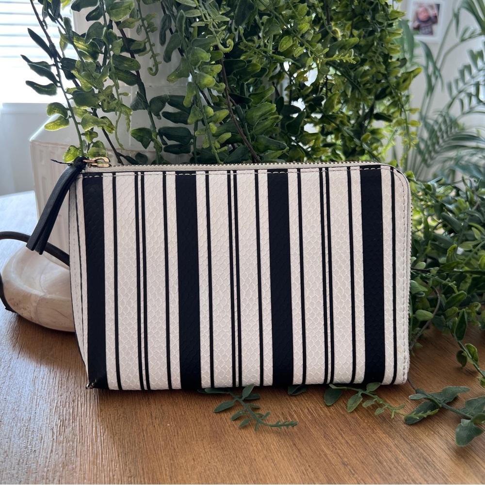 Banana Republic Black and White Striped Clutch